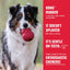 KONG Ball with Hole | Durable Natural Rubber Fetch Dog Toy