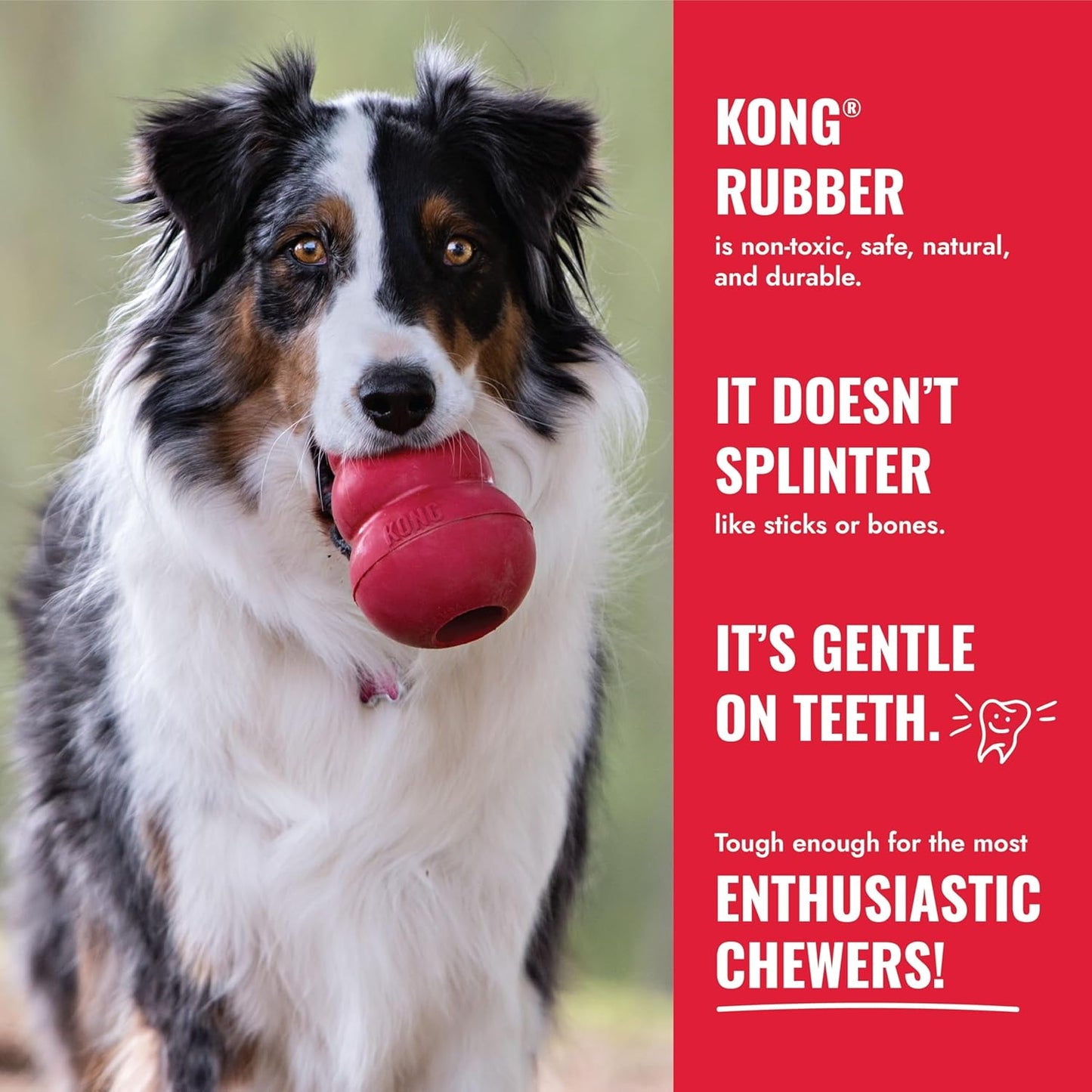 KONG Ball with Hole | Durable Natural Rubber Fetch Dog Toy