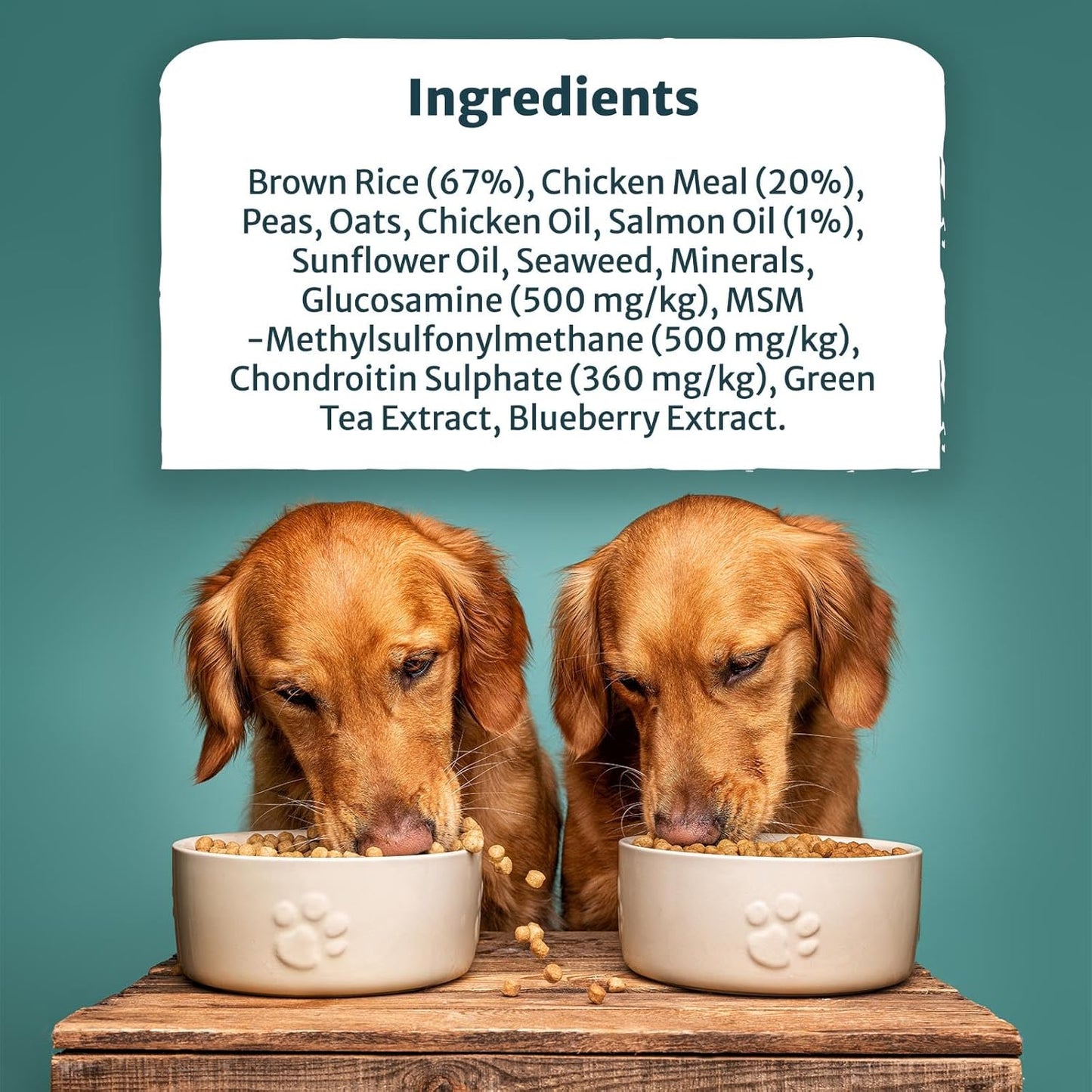 Burns Toy & Small Breed Original | Holistic Gluten Free Dry Dog Food | Senior + | Chicken & Brown Rice