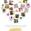 PhytoPet | Ear Wash | 100% Natural Ear Cleaner for Dogs, Cats & Small Pets