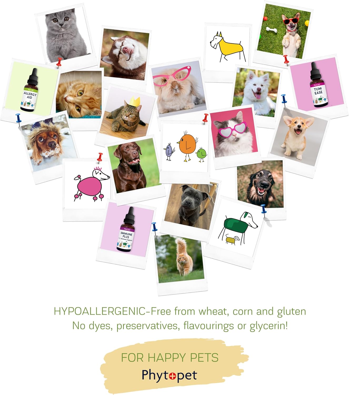 PhytoPet | Ear Wash | 100% Natural Ear Cleaner for Dogs, Cats & Small Pets