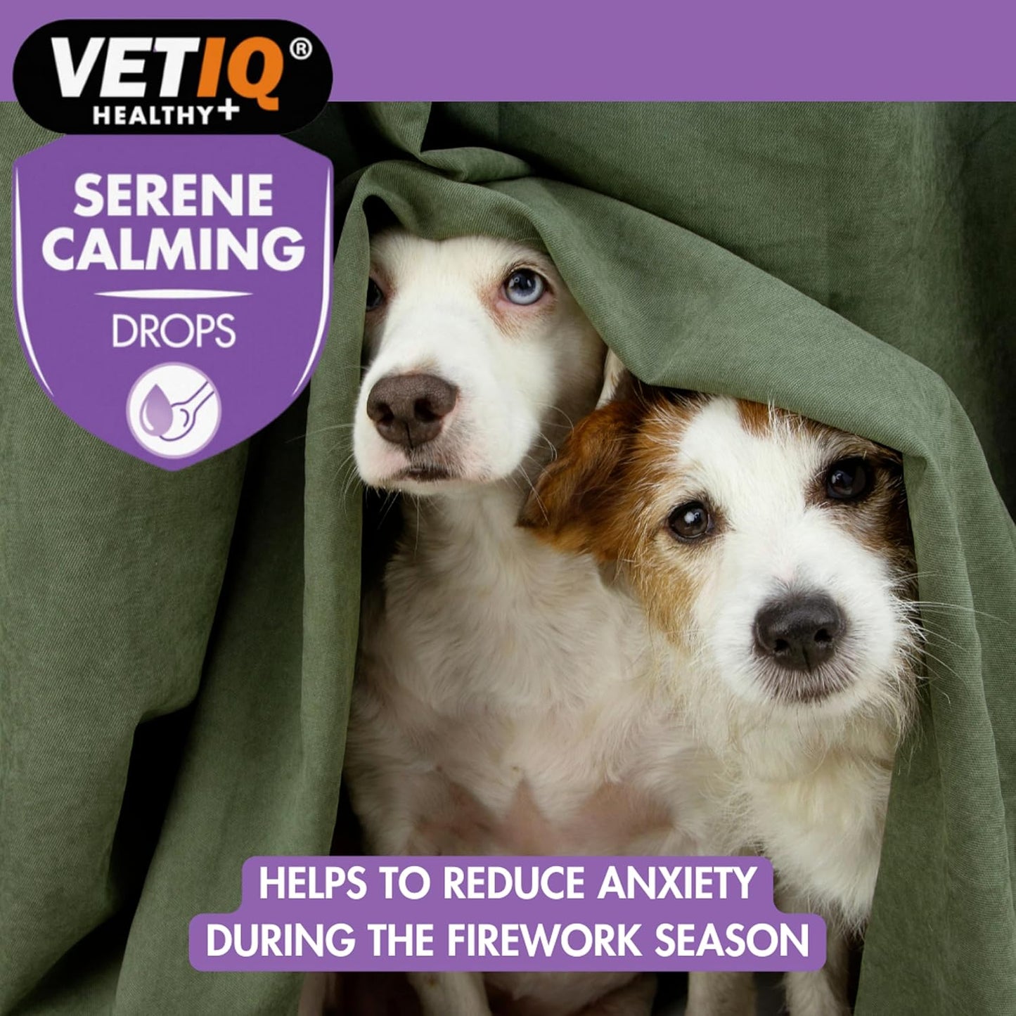 Two dogs peeking from under a green blanket with VetiQ Serene Calming Drops branding.