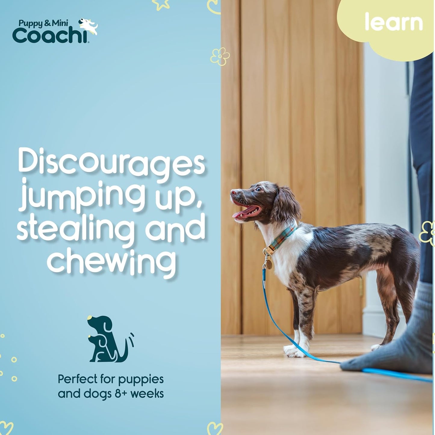 Dog on a leash with text about product features and target age group, branded with 'Puppy & Mini Coachi'.