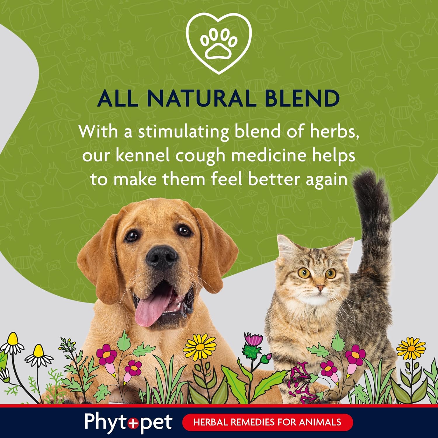 Advertisement for Phytopet's all natural blend kennel cough medicine with a dog and cat in front of a green background.