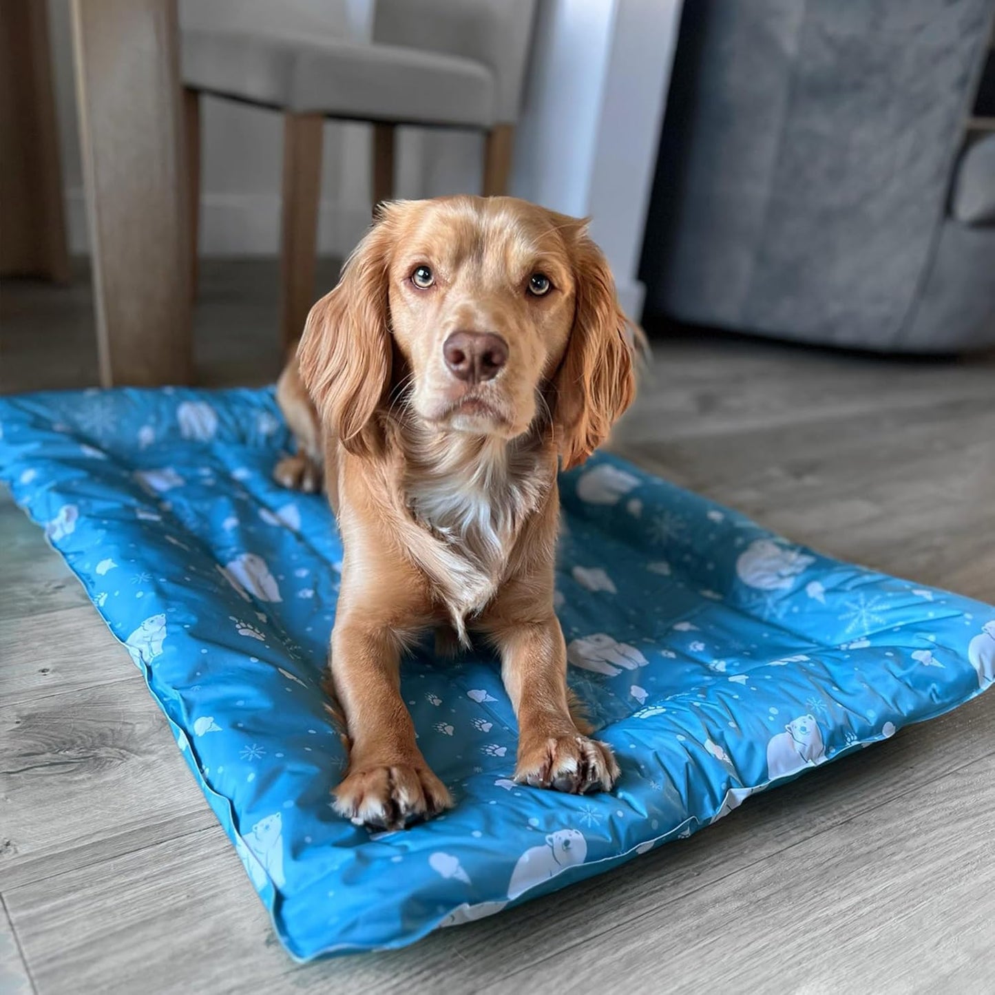 Ancol Ice Paws Cooling Comfortable Pet Bed Quickly Reduce Temperature 56cm x 66cm