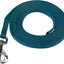 Teal dog leash with metal clip on a white background