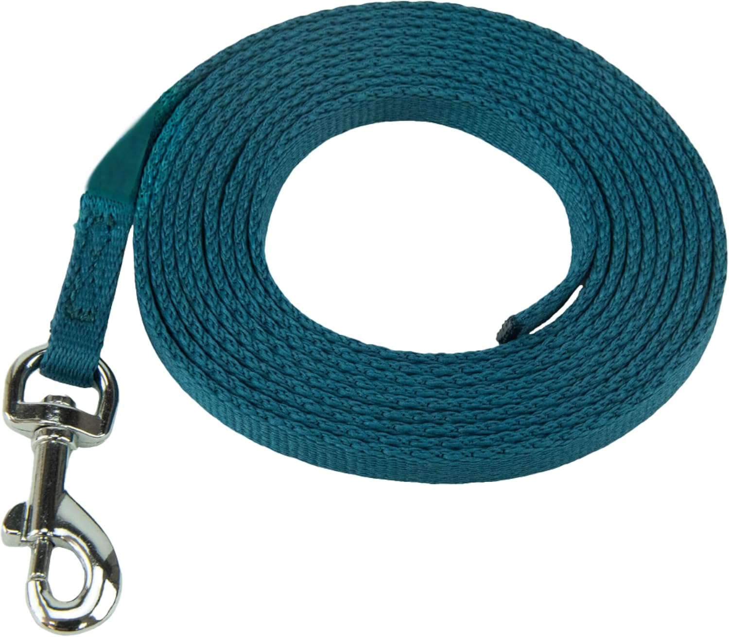 Teal dog leash with metal clip on a white background