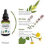 PhytoPet | Herbal Remedy | Mullein Complex for Coughs, Colds & Flu