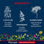 Herbal ingredients for pets with illustrations and descriptions on a blue background, featuring Phytopet branding.