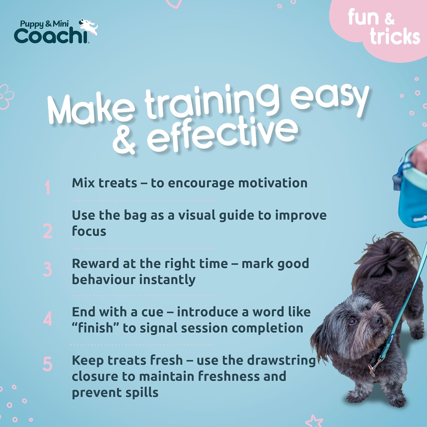 Dog training tips with a dog and trainer on a blue background, featuring the Coachi brand.