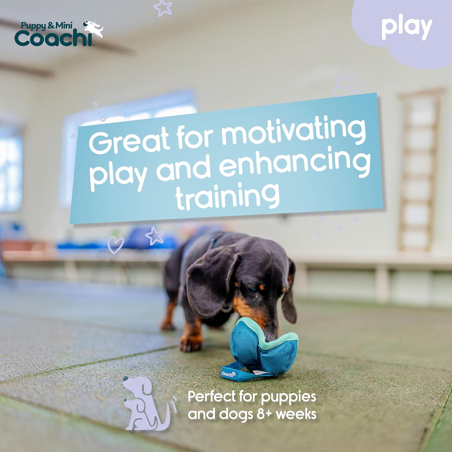 Dog playing with a toy indoors, with promotional text about motivating play and enhancing training.