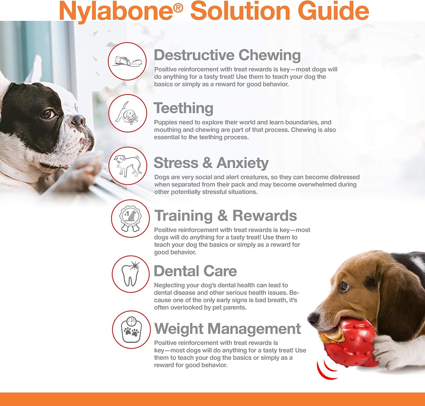 Nylabone Extreme Chew Specialty Shapes | Shish Kebab & Knot Bone