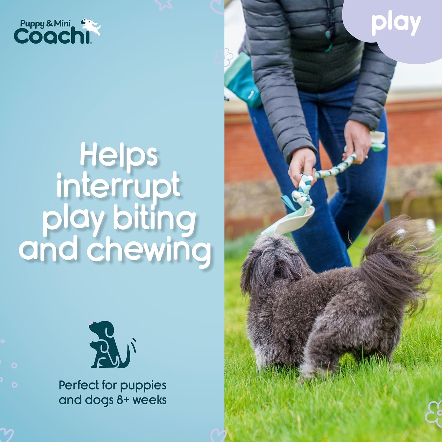 Person training a dog with a leash, promotional text about interrupting play biting and chewing, on a grassy area.