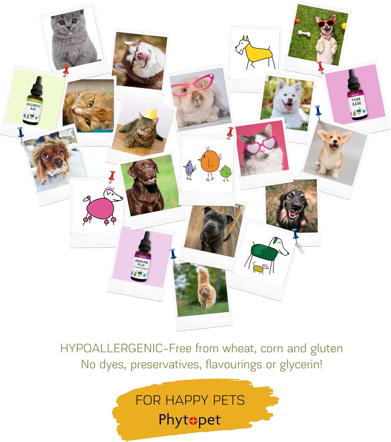 PhytoPet | Natural Herbal Remedy | Turmeric Tincture with Bioperene