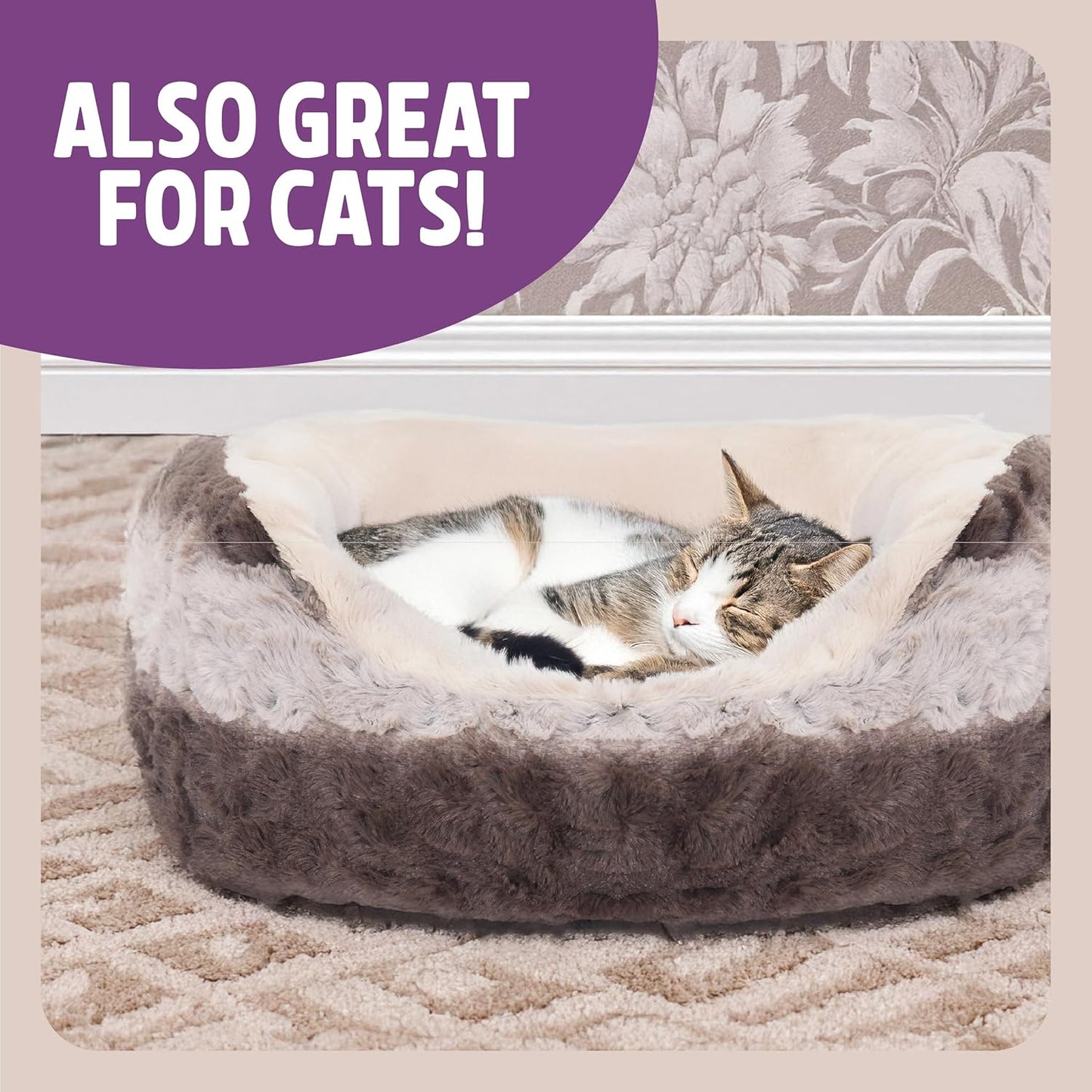 Cat lying on a fluffy pet bed with a decorative background and text 'Also Great for Cats'.