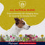 Advertisement for Phytopet herbal remedies for animals with a dog and natural elements on a yellow background.