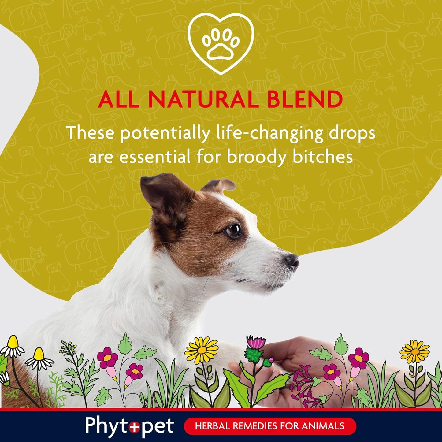 Advertisement for Phytopet herbal remedies for animals with a dog and natural elements on a yellow background.