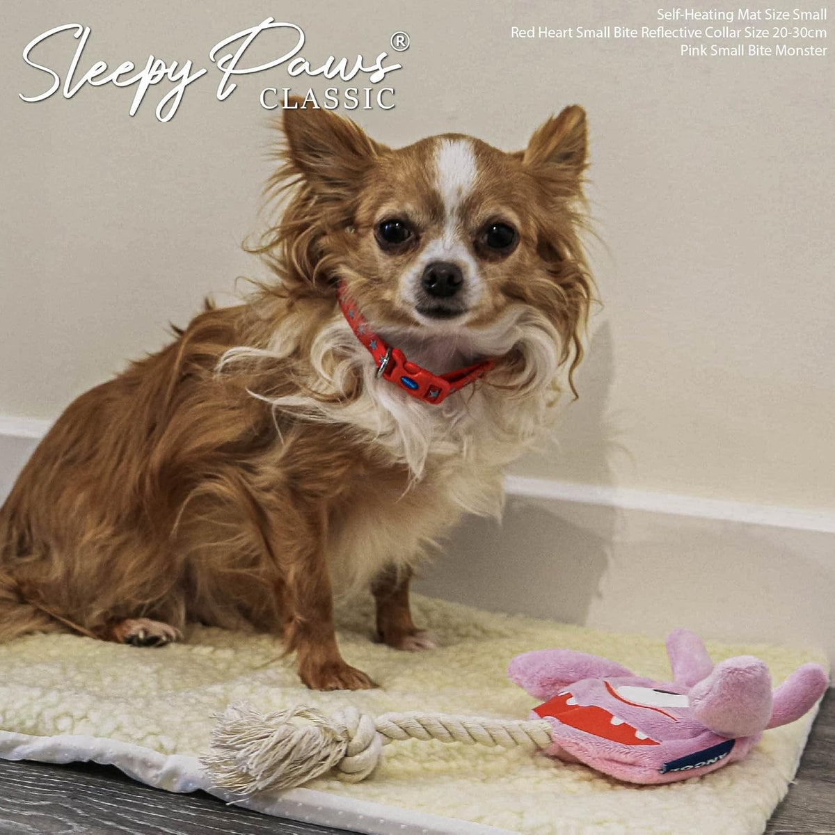 Small dog wearing a red collar with a 'Sleepy Paws' product in the background