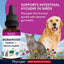Phytopet Wormwood Complex - Natural Herbal Remedy for Intestinal Hygiene