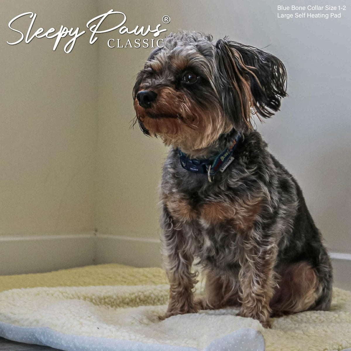 Small dog on a fluffy lambs wool like dog mat
