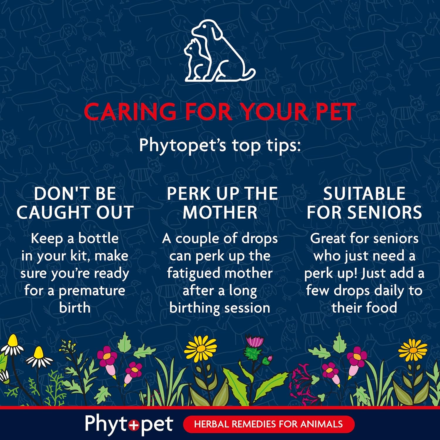 Phytopet's top tips for pet care on a blue background with floral designs.