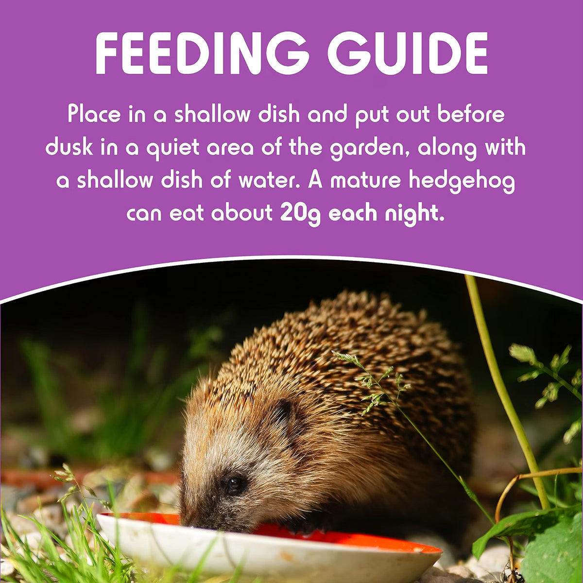 Spikes Hedgehog Food - Delicious Dry - 2.5kg