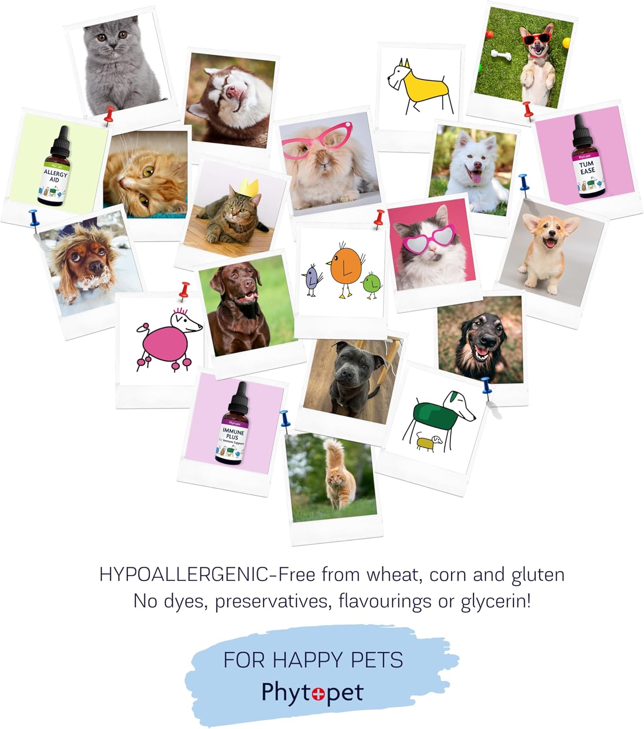 PhytoPet | Eye Wash Cleaner | 100% Natural Pet Care for Dogs, Cats & Small Pets