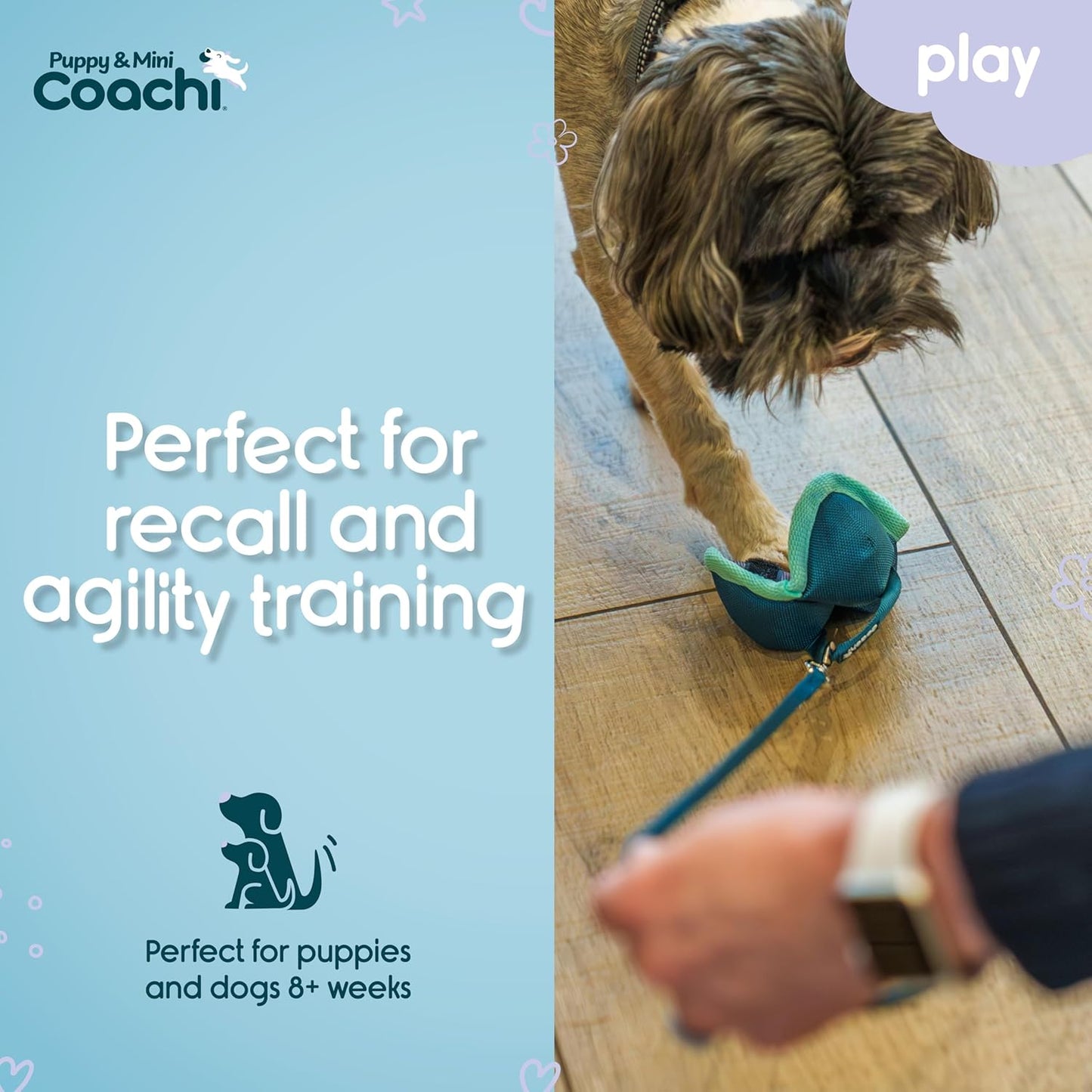 Dog training toy with a leash on a wooden floor, branded as 'Puppy & Mini Coachi'.