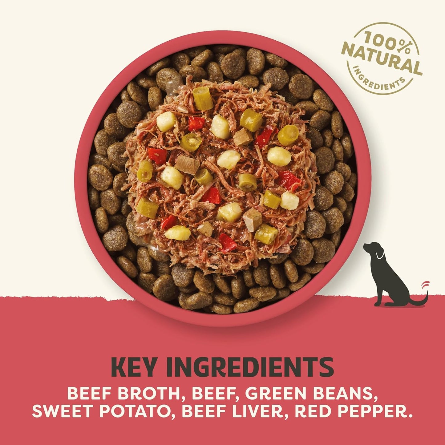 Applaws Beef with Green Beans, Sweet Potato & Red Pepper Broth Topper Dog Wet Food 85g