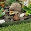 Vivid Arts Pet Pals Pygmy Hedgehog