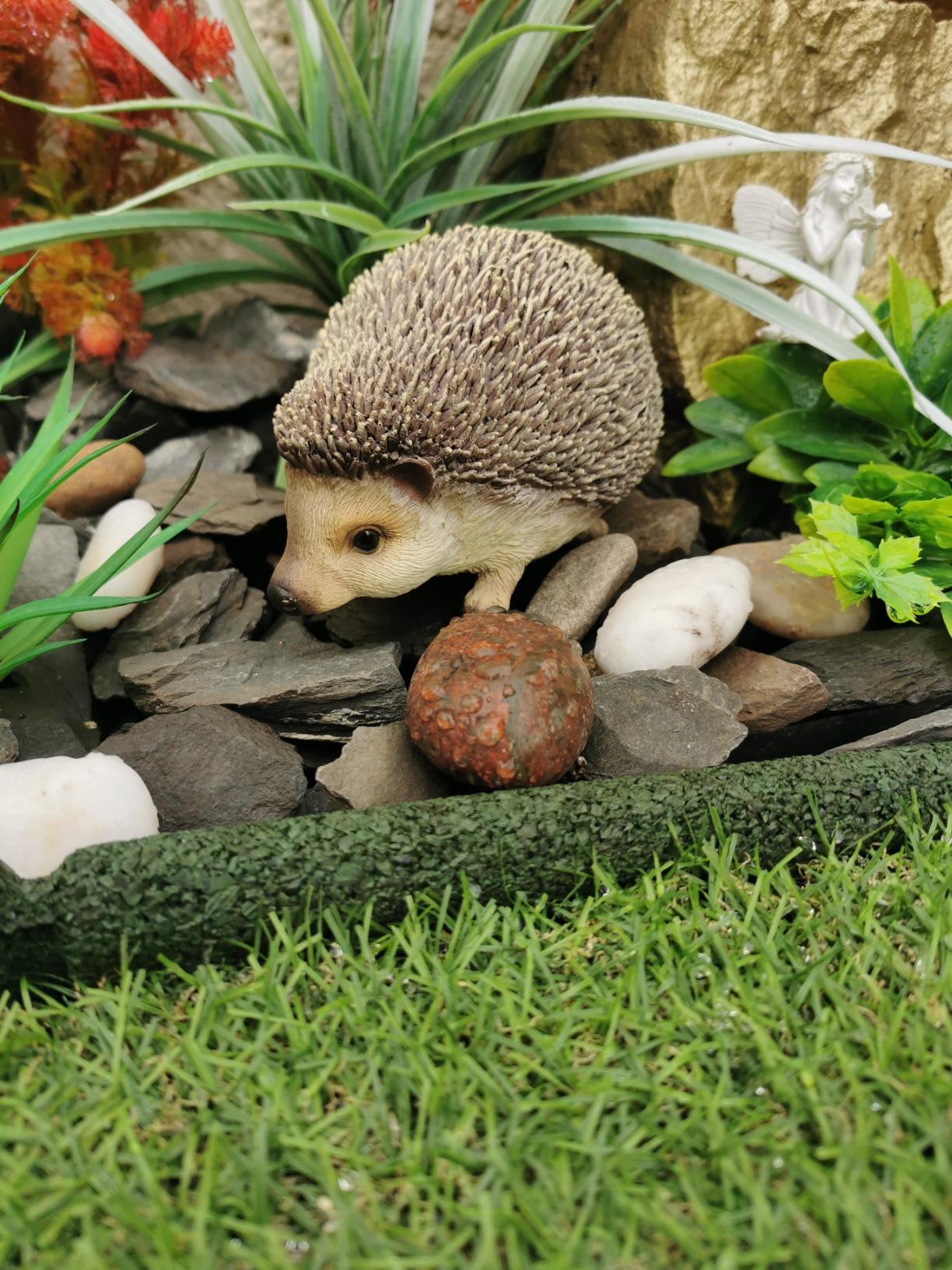 Vivid Arts Pet Pals Pygmy Hedgehog