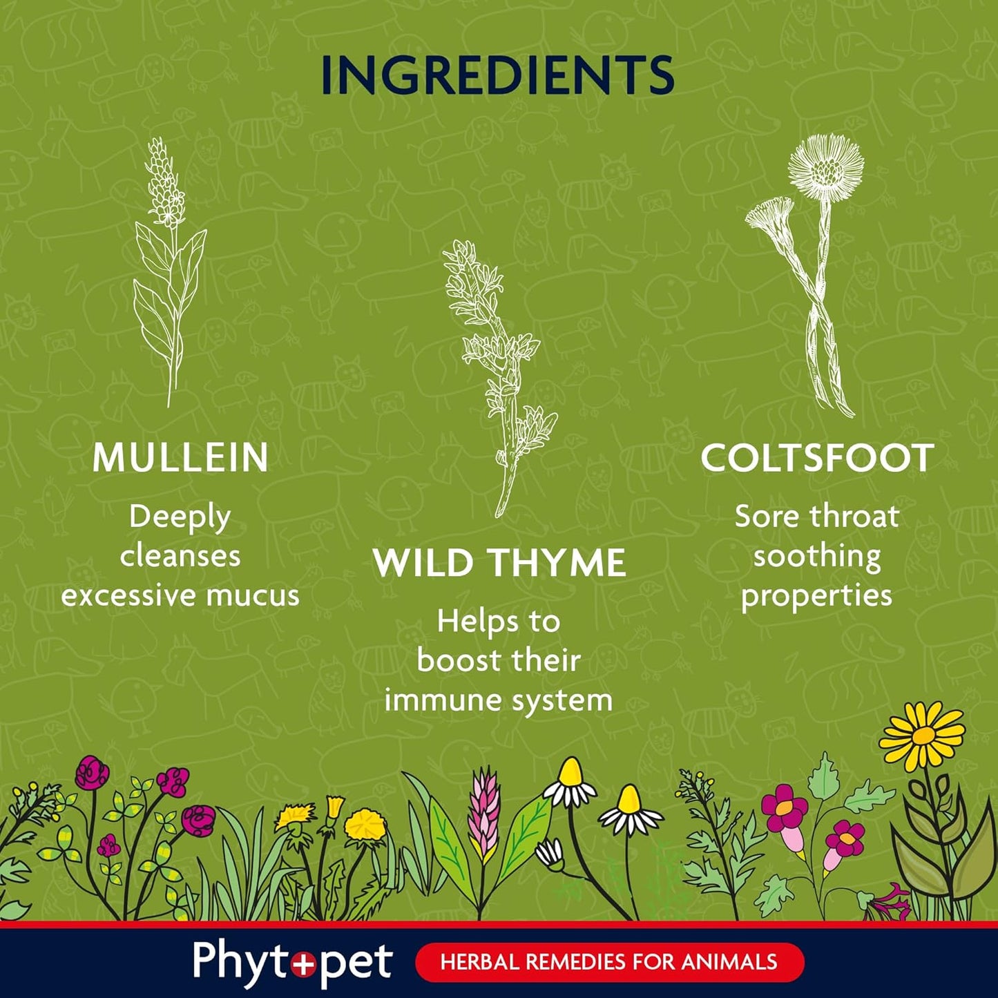 Herbal ingredients for animals with illustrations and descriptions on a green background, featuring Phytopet branding.