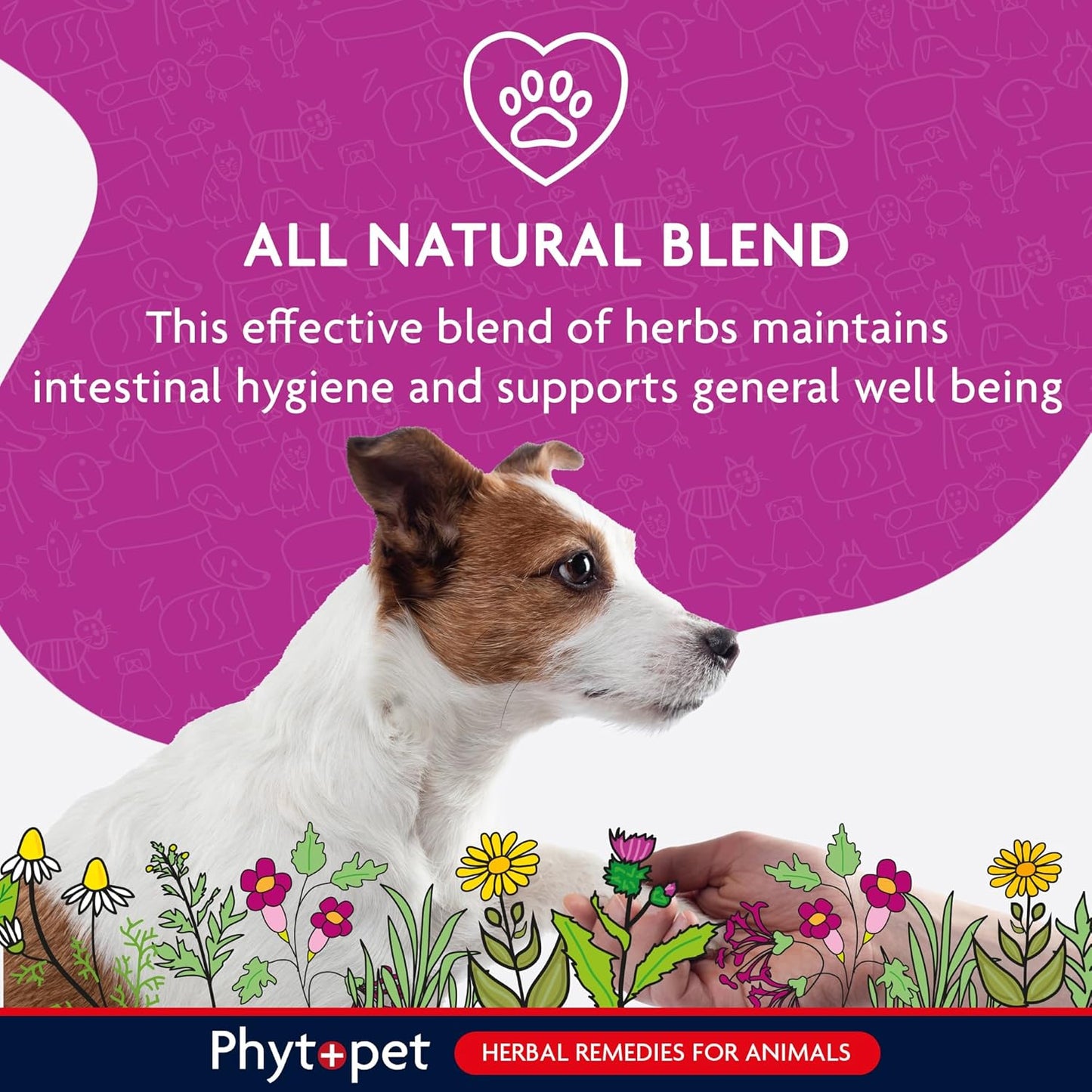 Phytopet Wormwood Complex - Natural Herbal Remedy for Intestinal Hygiene