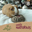 Naturals Herb 'n' Hay Party Gateau 🎄 Small Pet Christmas Treat by Rosewood