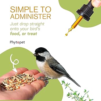 Phytopet | Natural Herbal Remedy | Farm & Yard Chicken Squits - 50ml