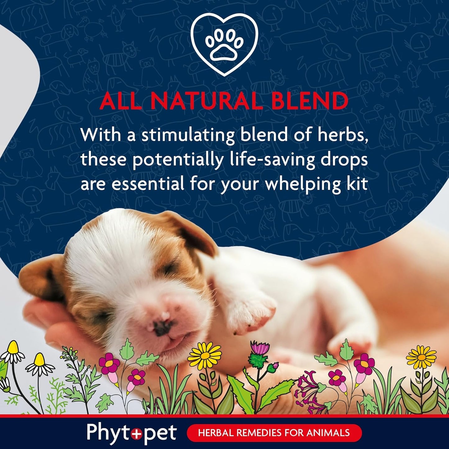 Phytopet | Herbal Remedy | Life Drops for Stimulating Puppies & Baby Animals - 10ml