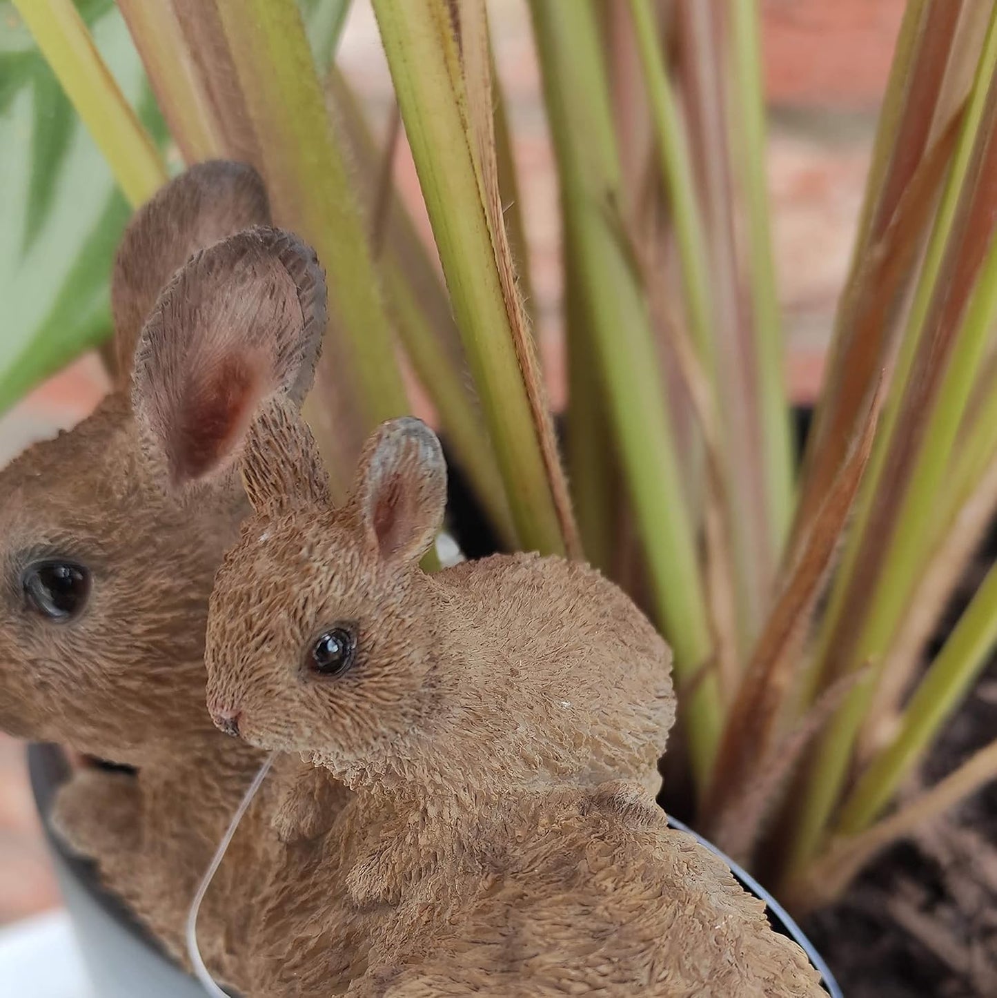 Vivid Arts | Mother & Baby Rabbit Plant Pal