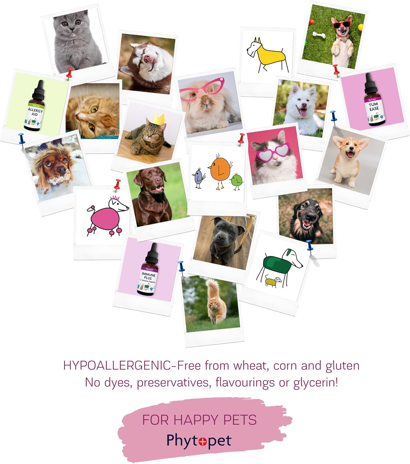 PhytoPet | Chicken Boost | General Tonic for Poultry, Game & Aviary Birds