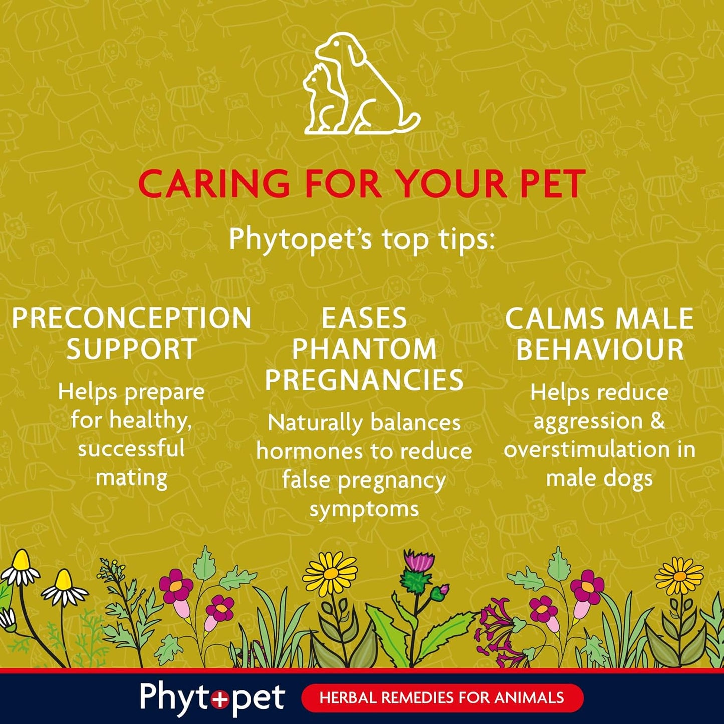 Promotional graphic for Phytopet's herbal remedies for animals with text on caring for pets.