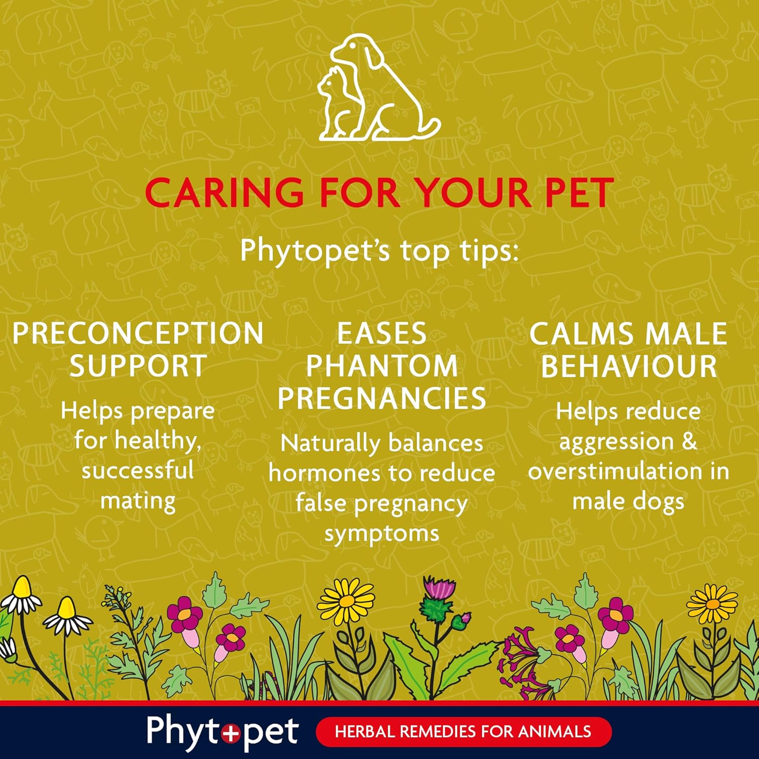 Promotional graphic for Phytopet's herbal remedies for animals with text on caring for pets.