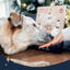 Rosewood Cupid & Comet Luxury Deli Dog Advent Calendar