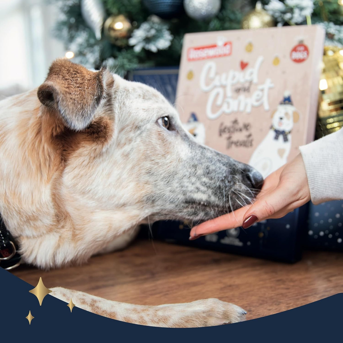 Rosewood Cupid & Comet Luxury Deli Dog Advent Calendar