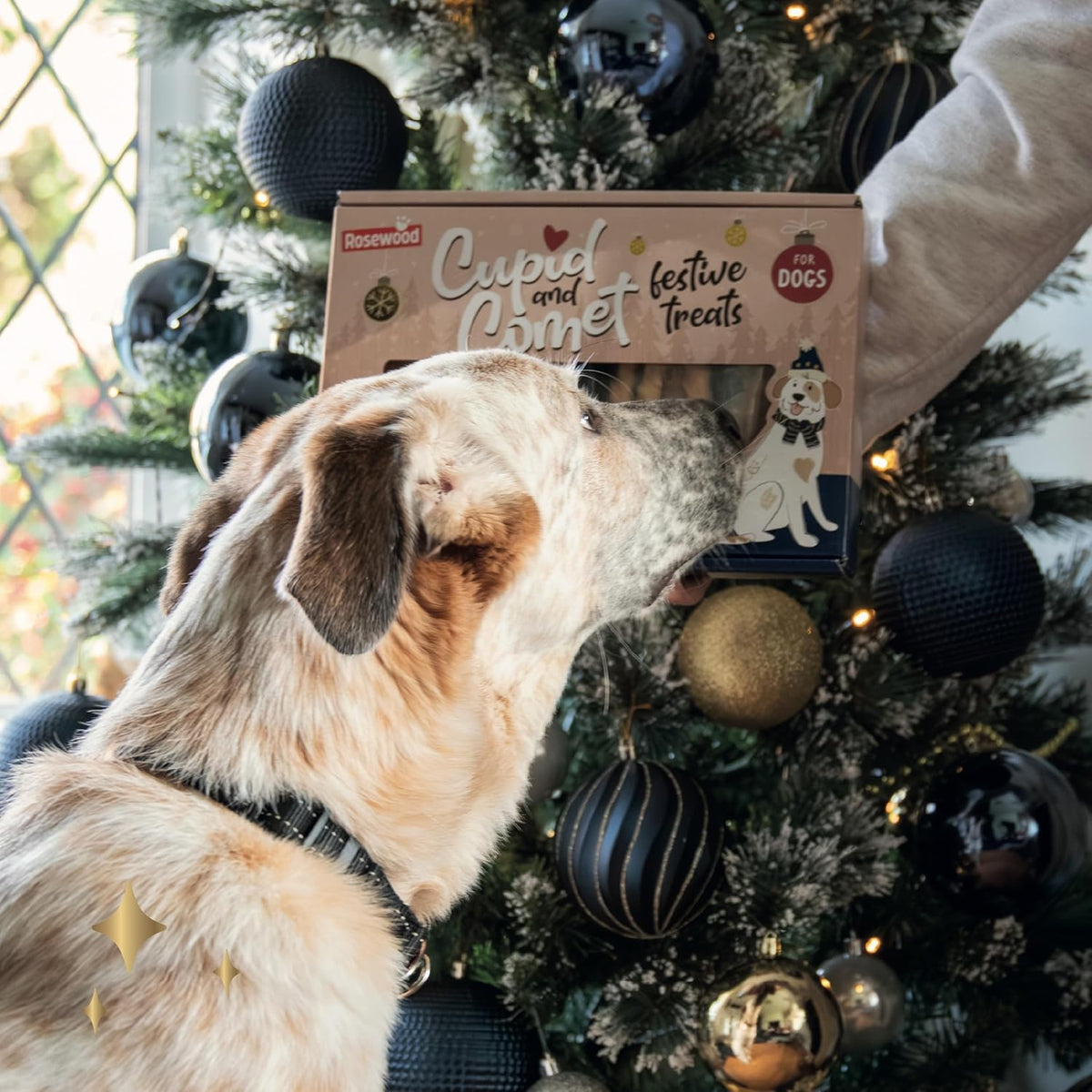 Rosewood Cupid & Comet Charcuterie Deli Board 200g Gourmet Dog Treats