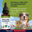 PhytoPet | Herbal Remedy | Mullein Complex for Coughs, Colds & Flu