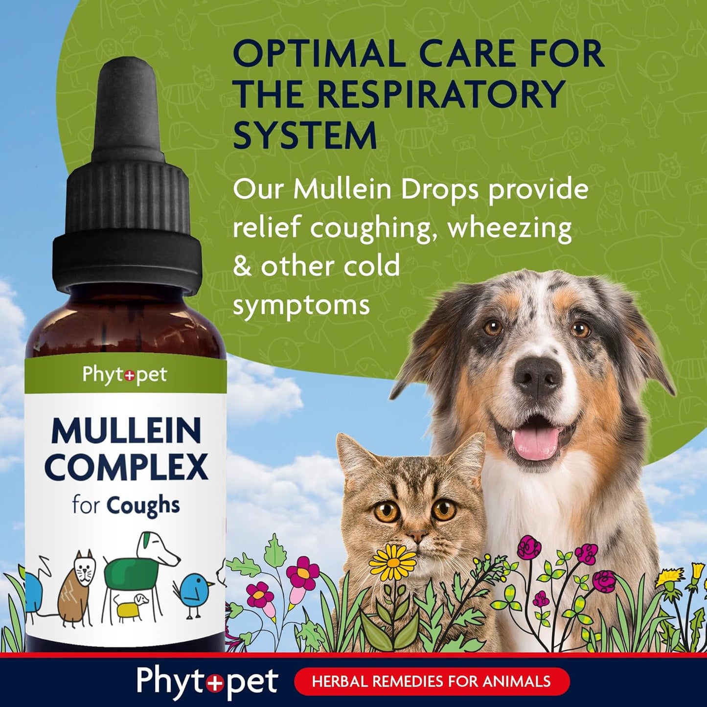 PhytoPet | Herbal Remedy | Mullein Complex for Coughs, Colds & Flu