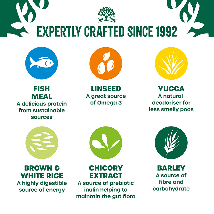 James Wellbeloved | Dry Dog Food | Adult | Rich In Fish & Rice 2kg