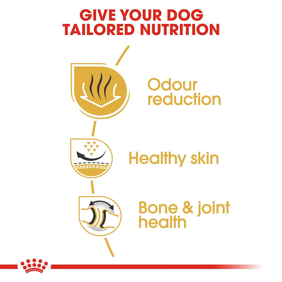 Dog food brand advertisement with text 'Give your dog tailored nutrition' and icons for odor reduction, healthy skin, and bone & joint health.