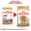Two packages of Royal Canin Bulldog dog food with a red arrow and text indicating 'New Look, Same Formula'.