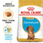 Royal Canin Dachshund Puppy food packaging with text and images of a dachshund on a white background