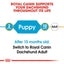 Royal Canin Dachshund feeding chart indicating puppy and adult stages with a red border.